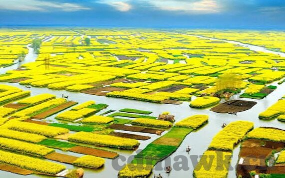 91制片厂麻豆制作-91制片厂与麻豆制作，多角度解析其影响与价值