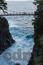 麻豆app.tv-新探，麻豆app.tv背后的多元娱乐视角